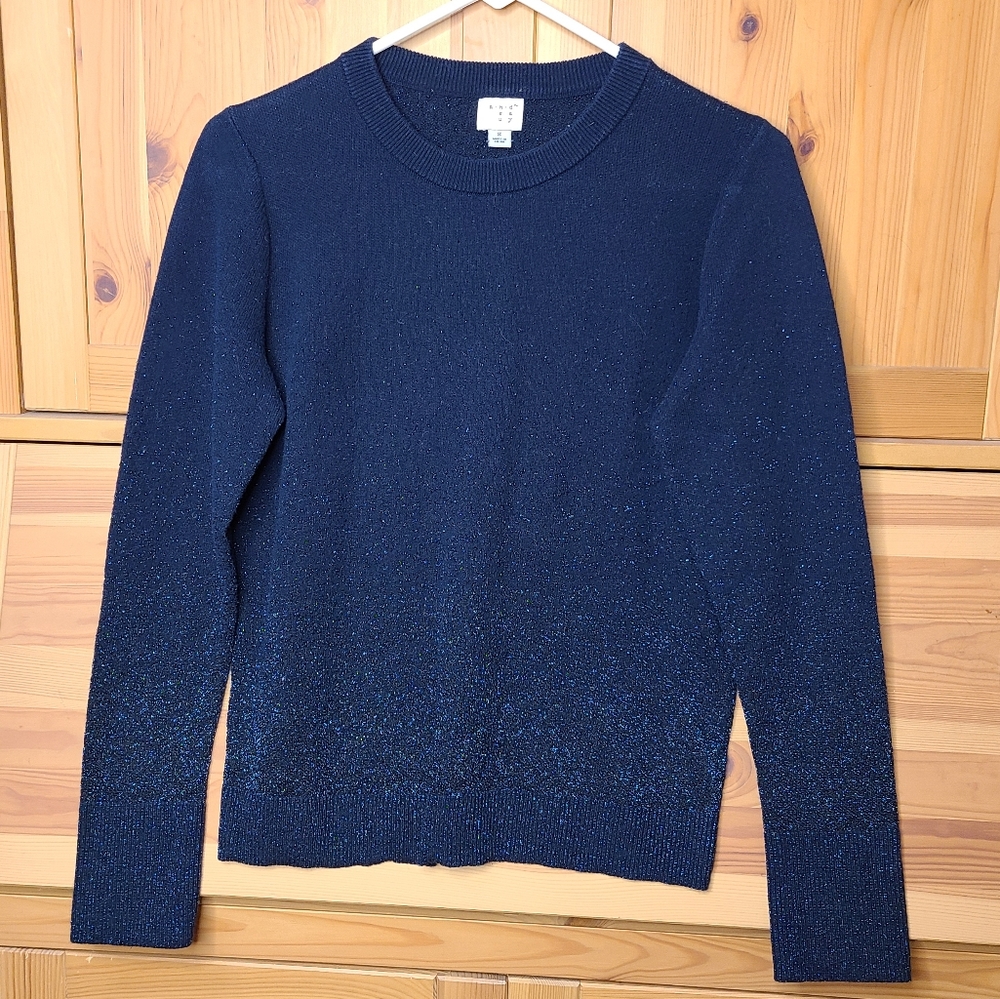 Navy Blue Sparkly Sweater - S - Picture 1 of 5